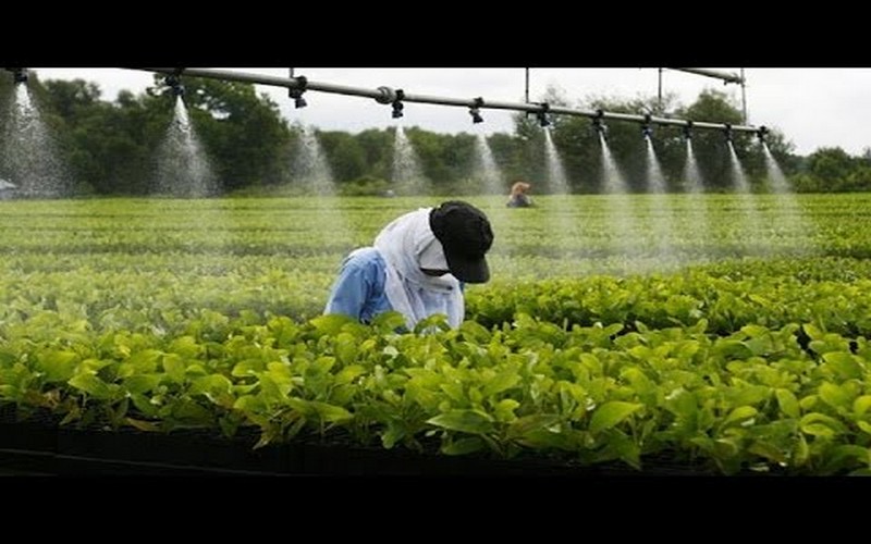 Agroindustrie 1 million de dollars pour les PME Estafricaines