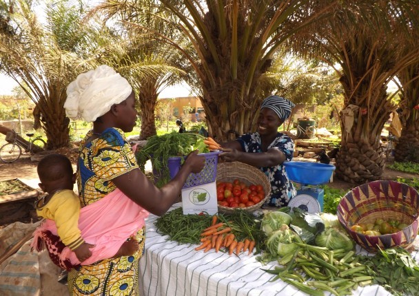 Burkina  La balance commerciale exceptionnellement excédentaire au